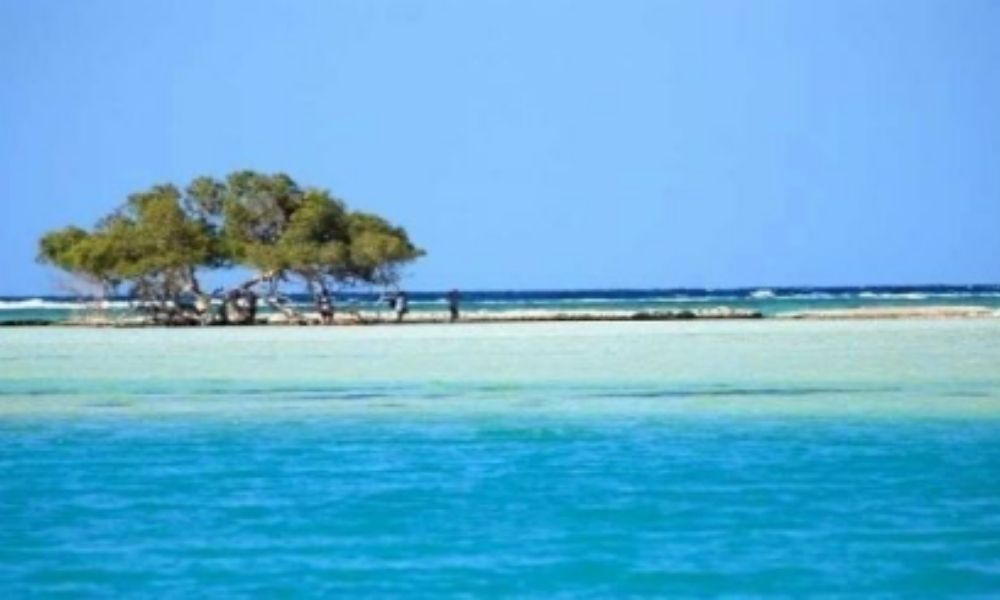 Marsa Alam 4